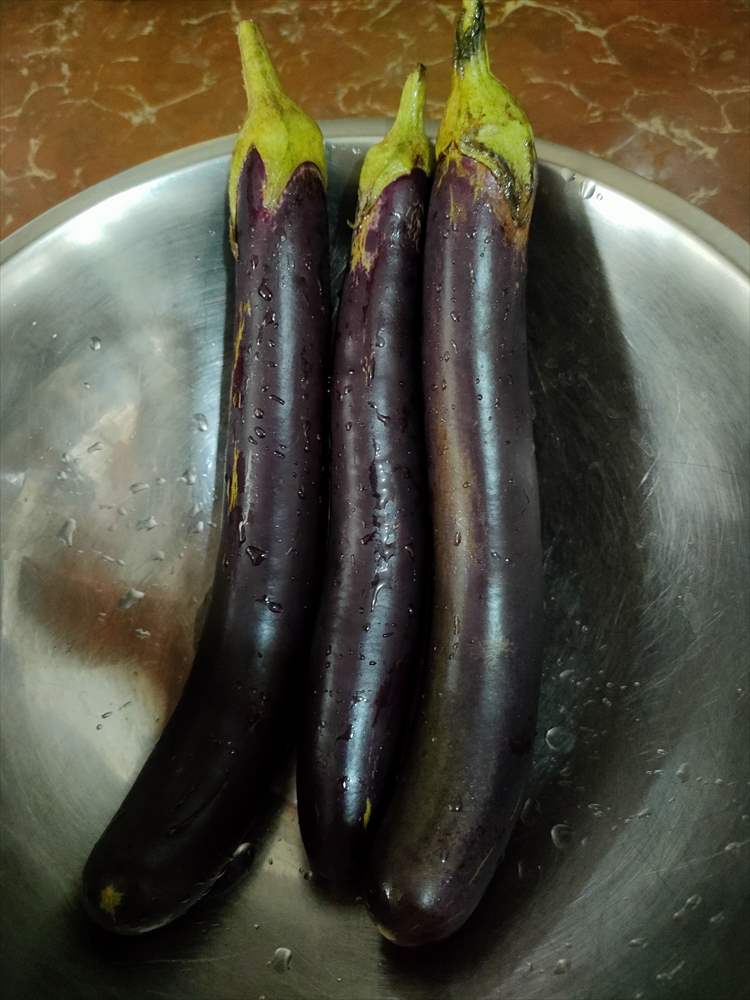 egg plant