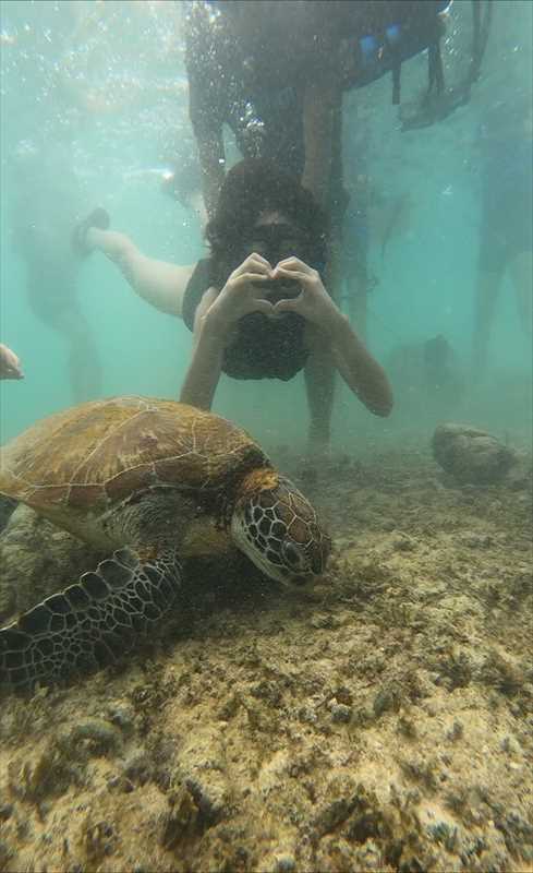 浅瀬にいるウミガメと一緒に、業者さんが水中カメラで撮影してくれた写真。気に入ってスマホの壁紙にしている